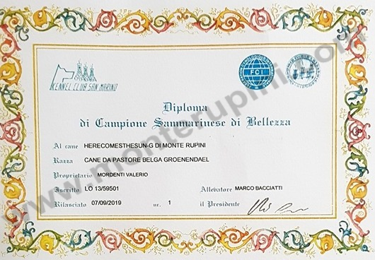 Diploma CH SanMarino